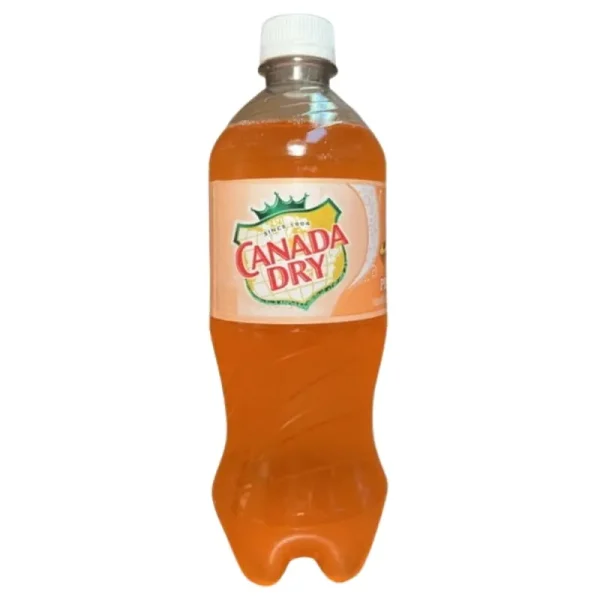 Canada Dry Melocotón Ginger Ale Soda, 20 fl oz, Pack de 24